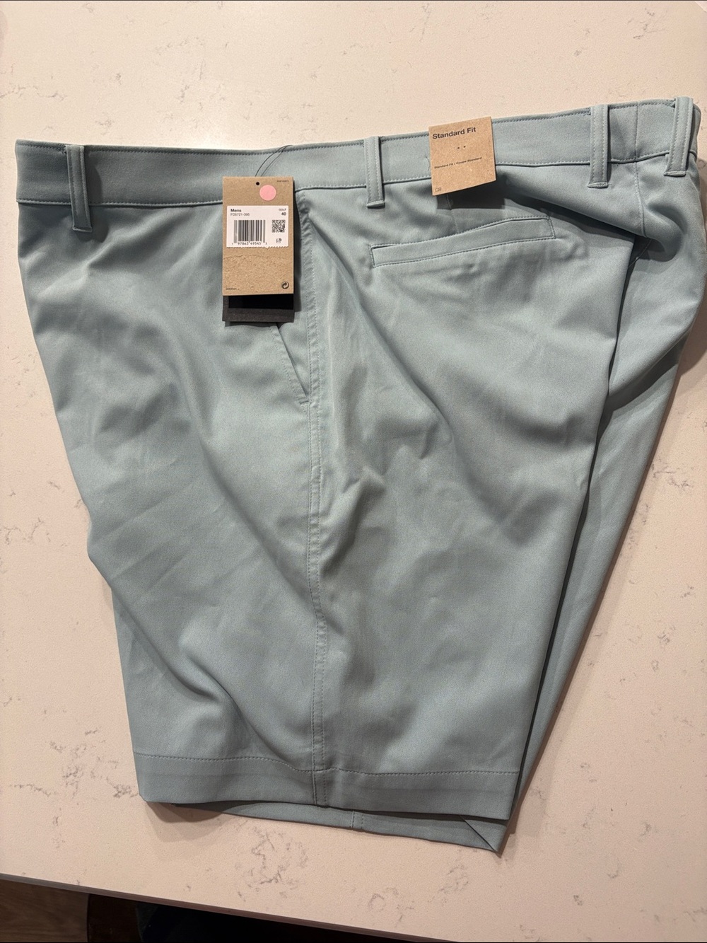 Nike Men's Flat Front Shorts - Light Mint Green